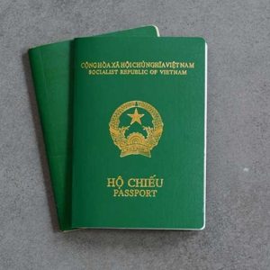cách làm passport online